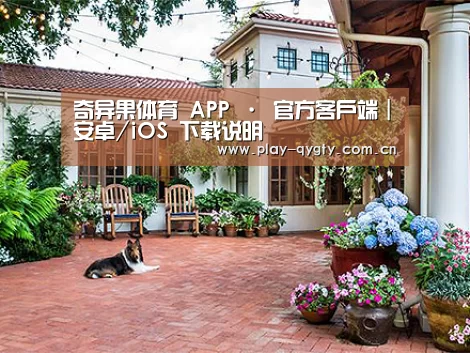 客户案例标题九