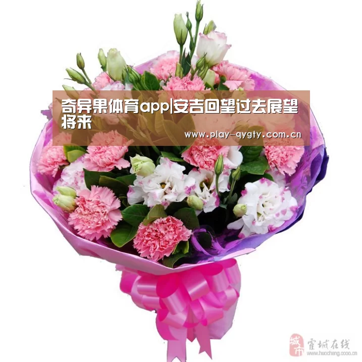 奇异果体育app|安吉回望过去展望将来(图2) 奇异果体育app