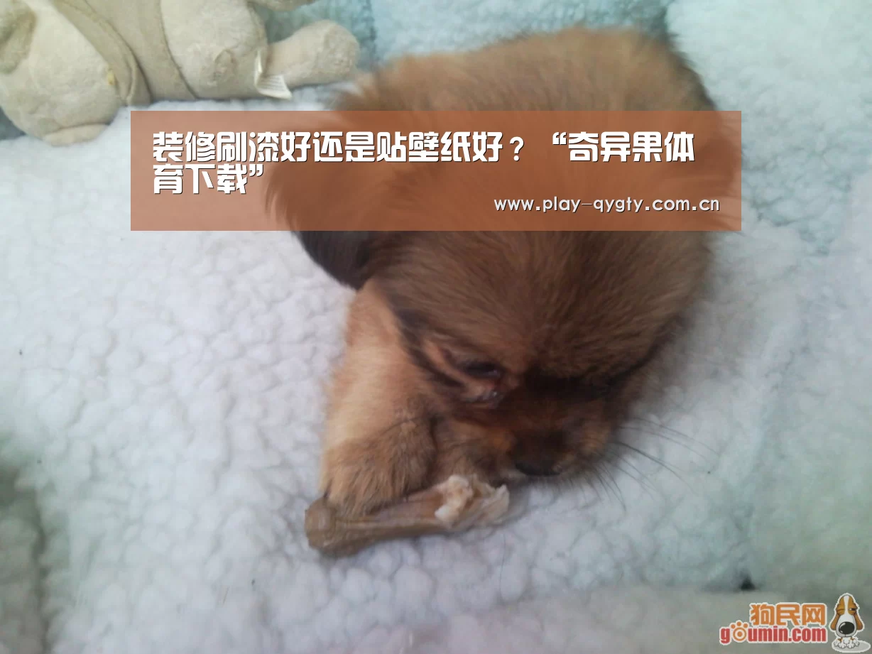 装修刷漆好还是贴壁纸好?“奇异果体育下载”(图2) 奇异果体育app