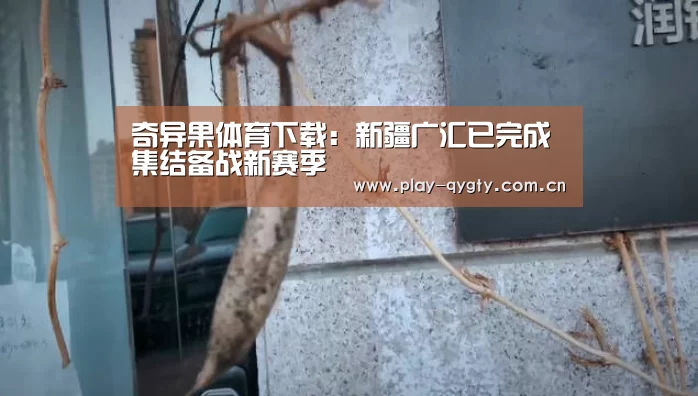 奇异果体育app