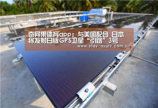 奇异果体育app