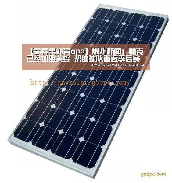 【奇异果体育app】爆炸新闻!帕克已经加盟黄蜂 帮助球队重返季后赛(图3) 奇异果体育下载