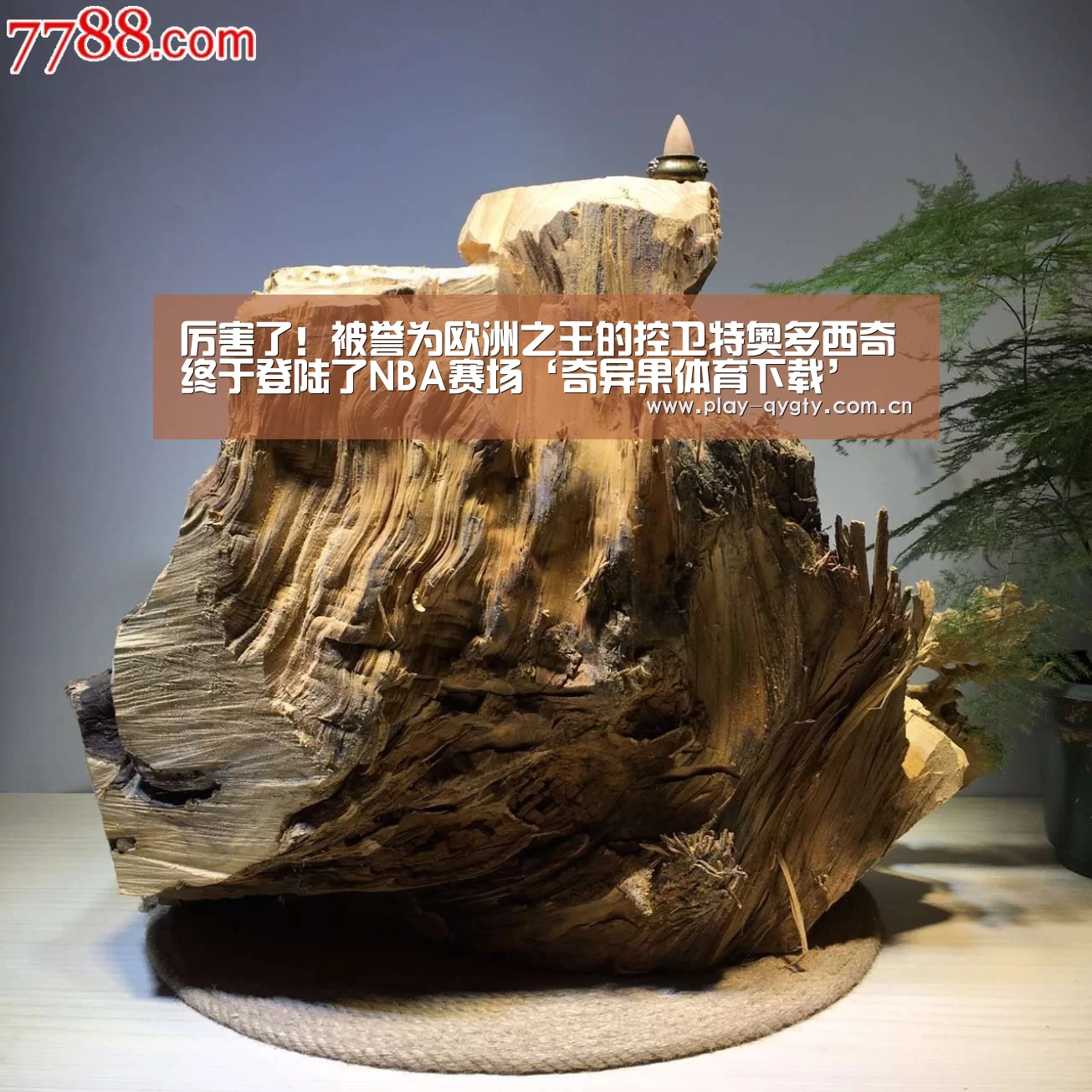奇异果体育下载
